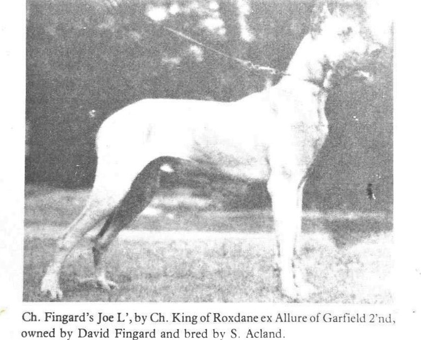 Fingards Joe